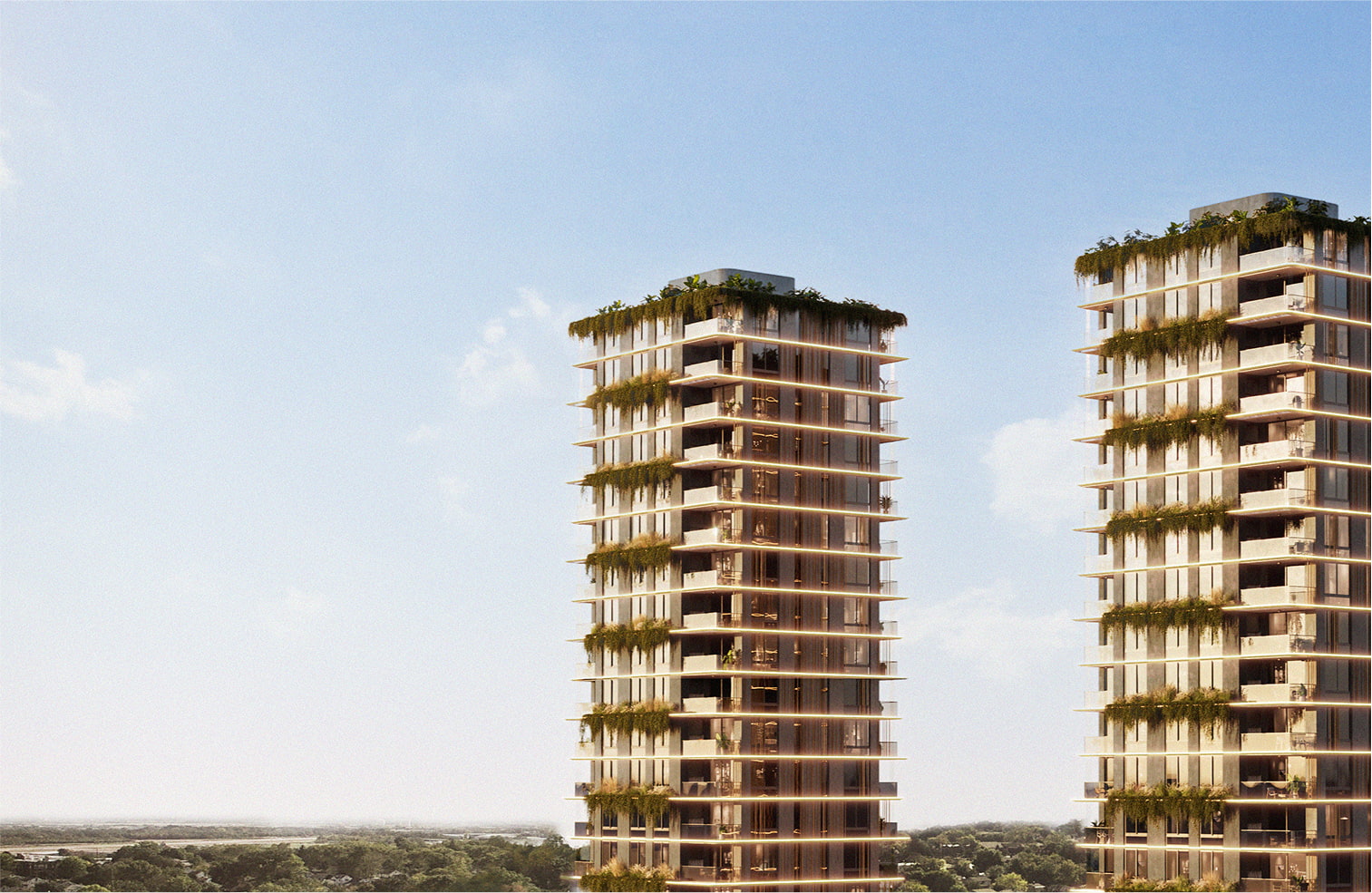 Palmera de los Remeros - Vista aérea